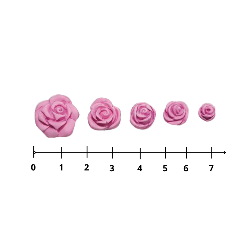 Molde Silic. (1.23) Rosas X 5u Desde Mini