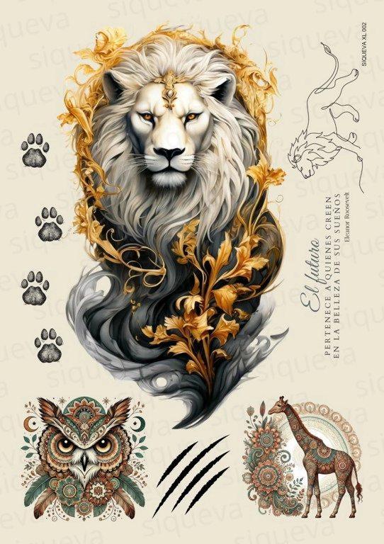 Cover_1