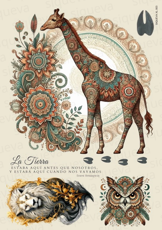 Cover_1