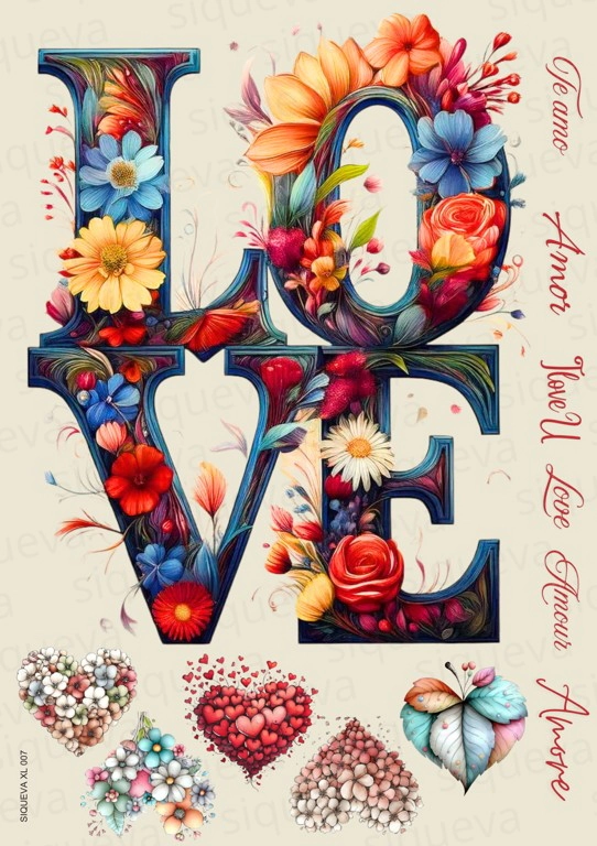 Cover_1