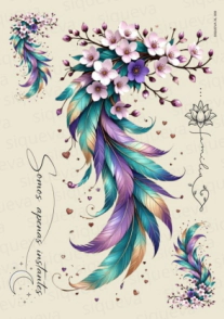 Cover_1
