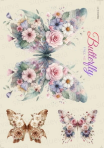 Cover_1