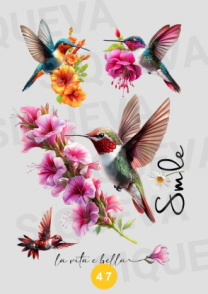 Cover_1