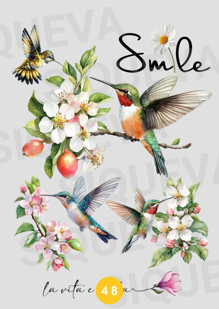 Cover_1