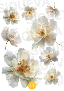 Cover_1