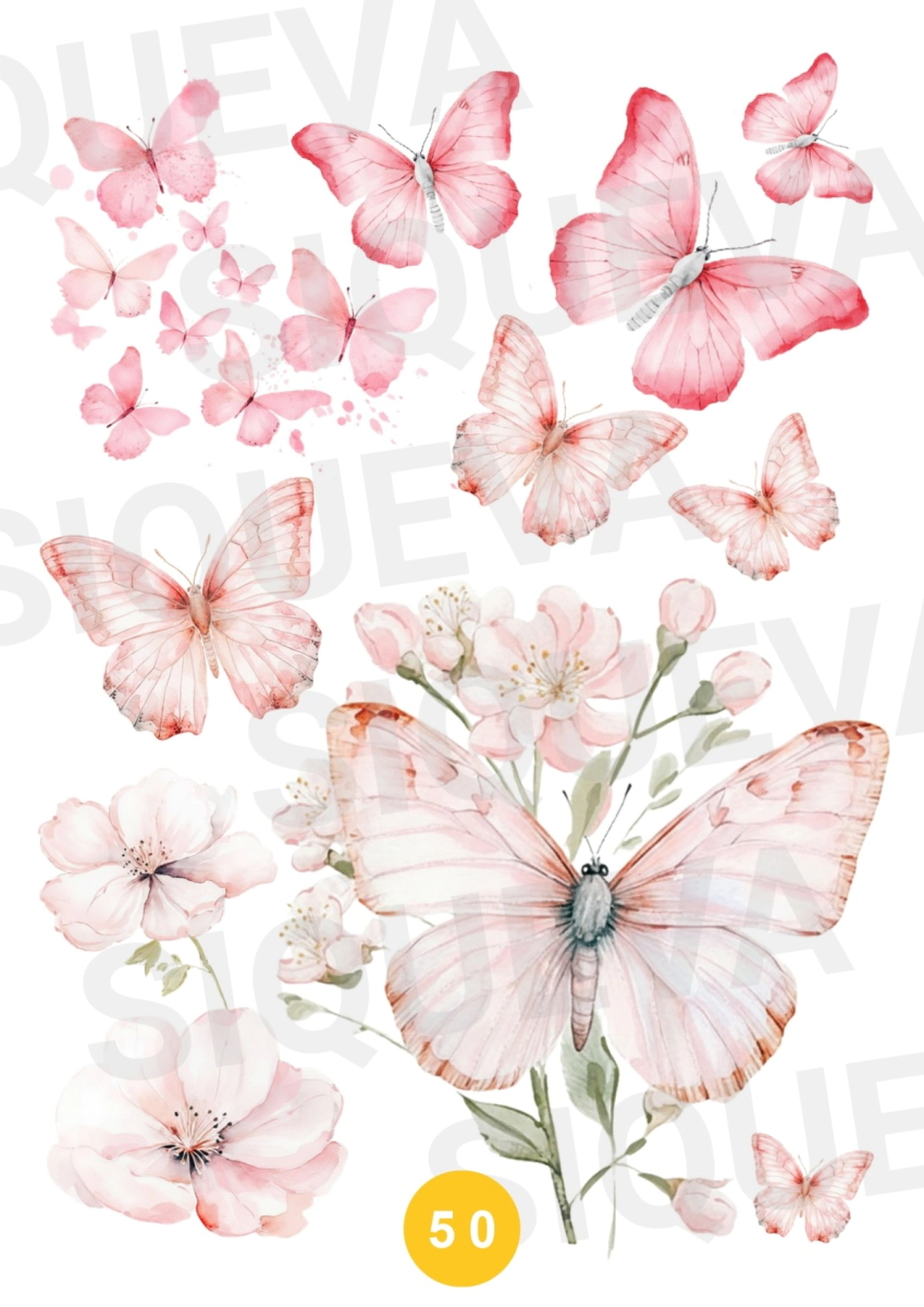 Cover_1