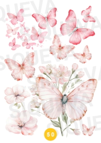 Cover_1