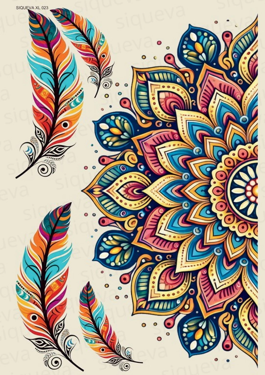 Cover_1