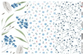 Cover_1