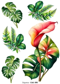 Cover_1